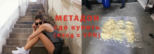 прущие грибы Абинск