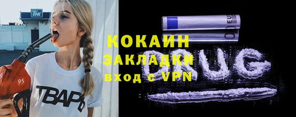 прущие грибы Абинск