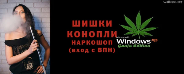 прущие грибы Абинск