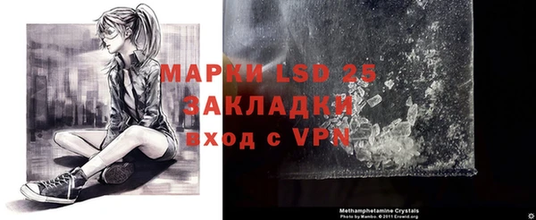 прущие грибы Абинск