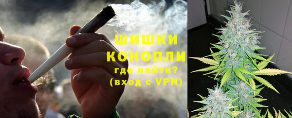 прущие грибы Абинск