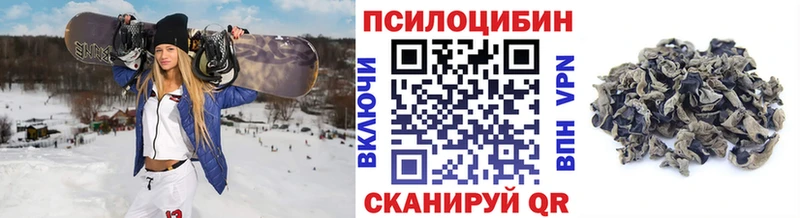 даркнет как зайти  Электроугли  Галлюциногенные грибы мухоморы 